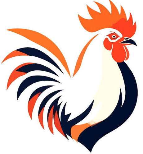 POULETXPRESS